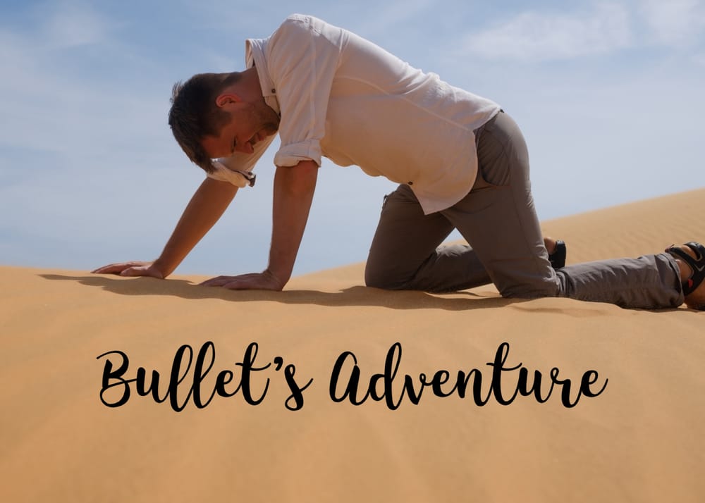 Bullet's Adventure: Chasing Sobekneferu - chapter 25 post image